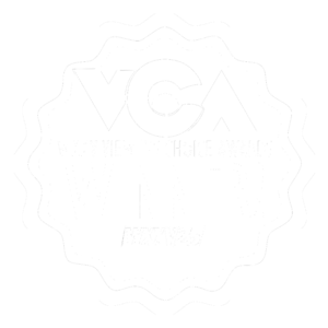 Viewer’s Choice Award