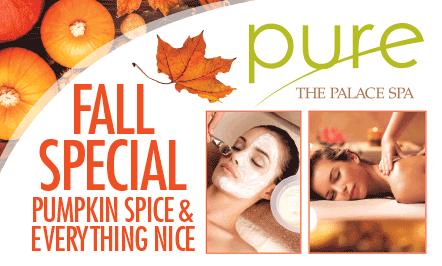 Fall Special Pumpkin Spice & Everything Nice